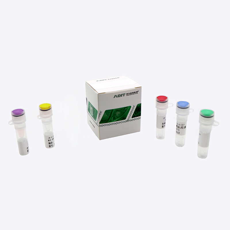 物種鑒定檢測(cè)系列